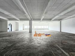 Perfect One (D13), Warehouse #554776521